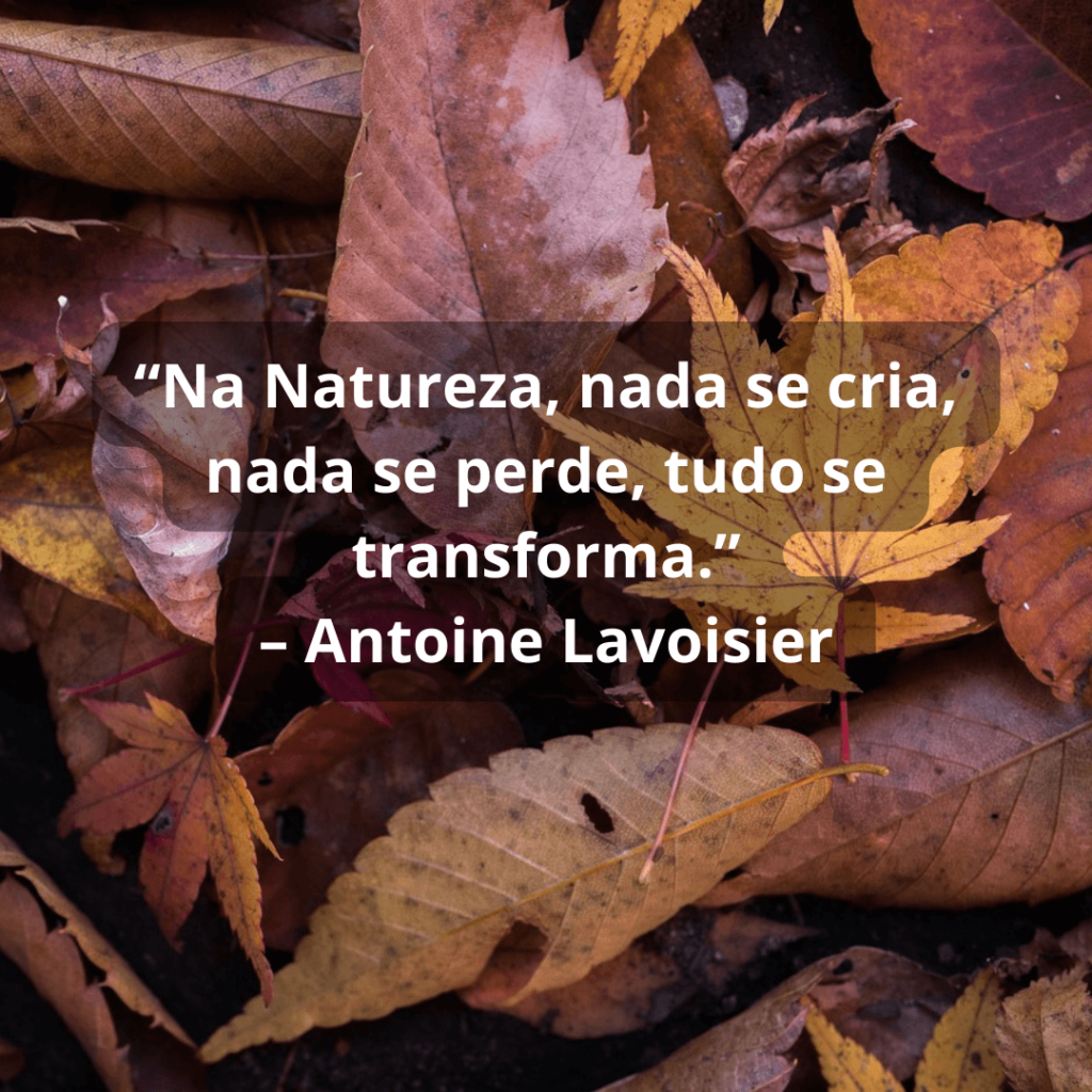“Na Natureza, nada se cria, nada se perde, tudo se transforma.” – Antoine Lavoisier