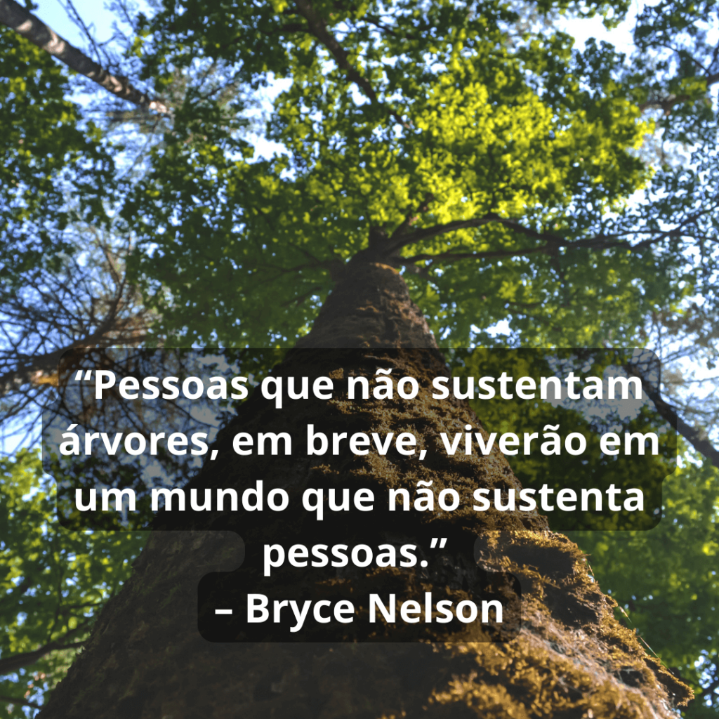 “Pessoas que não sustentam árvores, em breve, viverão em um mundo que não sustenta pessoas.” – Bryce Nelson