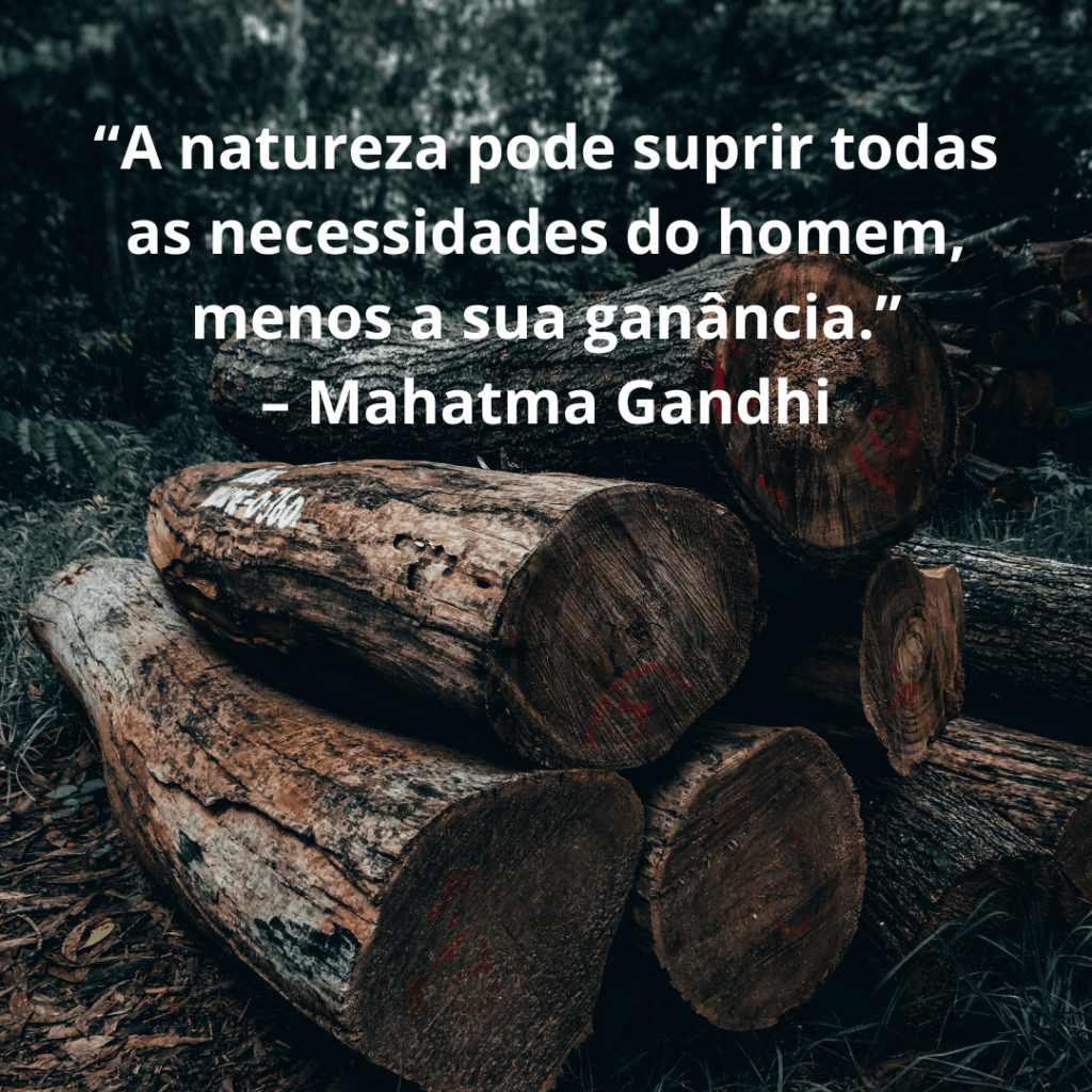 “A natureza pode suprir todas as necessidades do homem, menos a sua ganância.” – Mahatma Gandhi