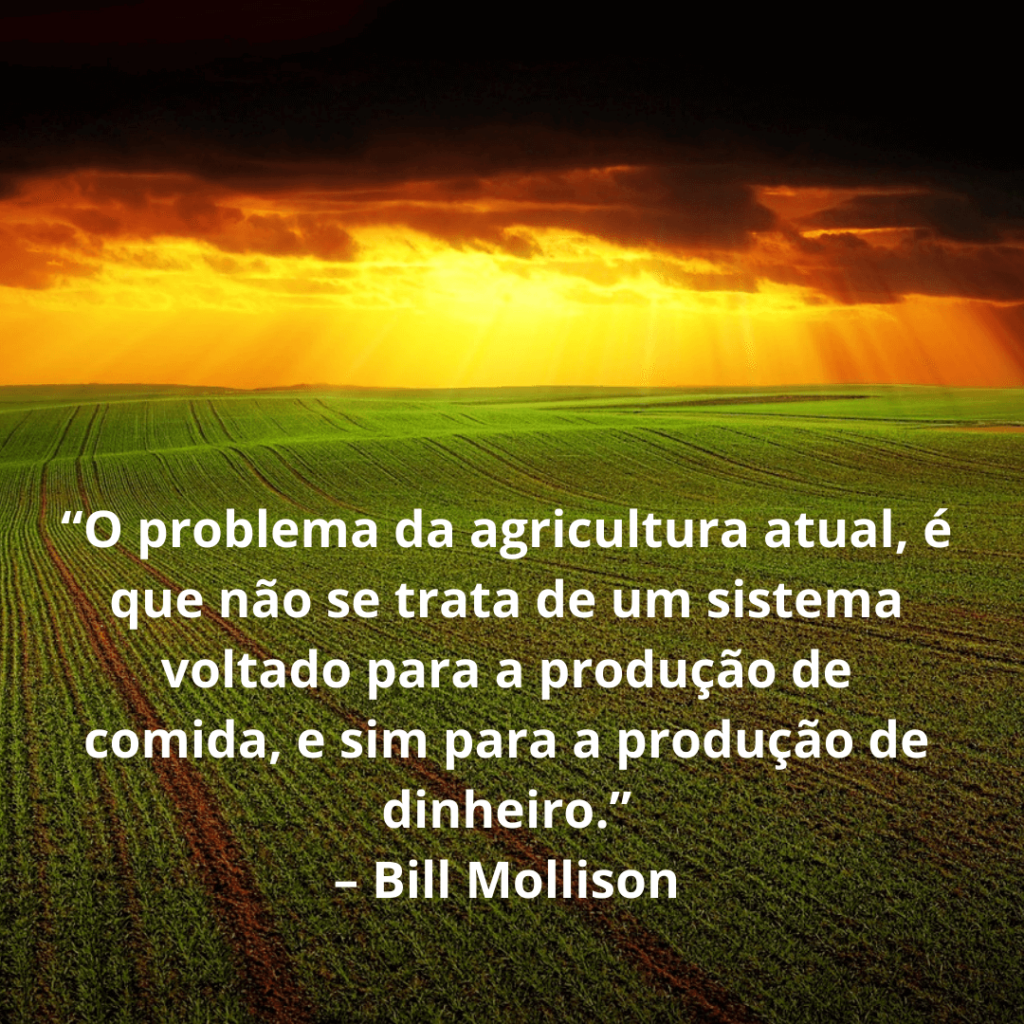 “O problema da agricultura atual, é que não se trata de um sistema voltado para a produção de comida, e sim para a produção de dinheiro.” – Bill Mollison