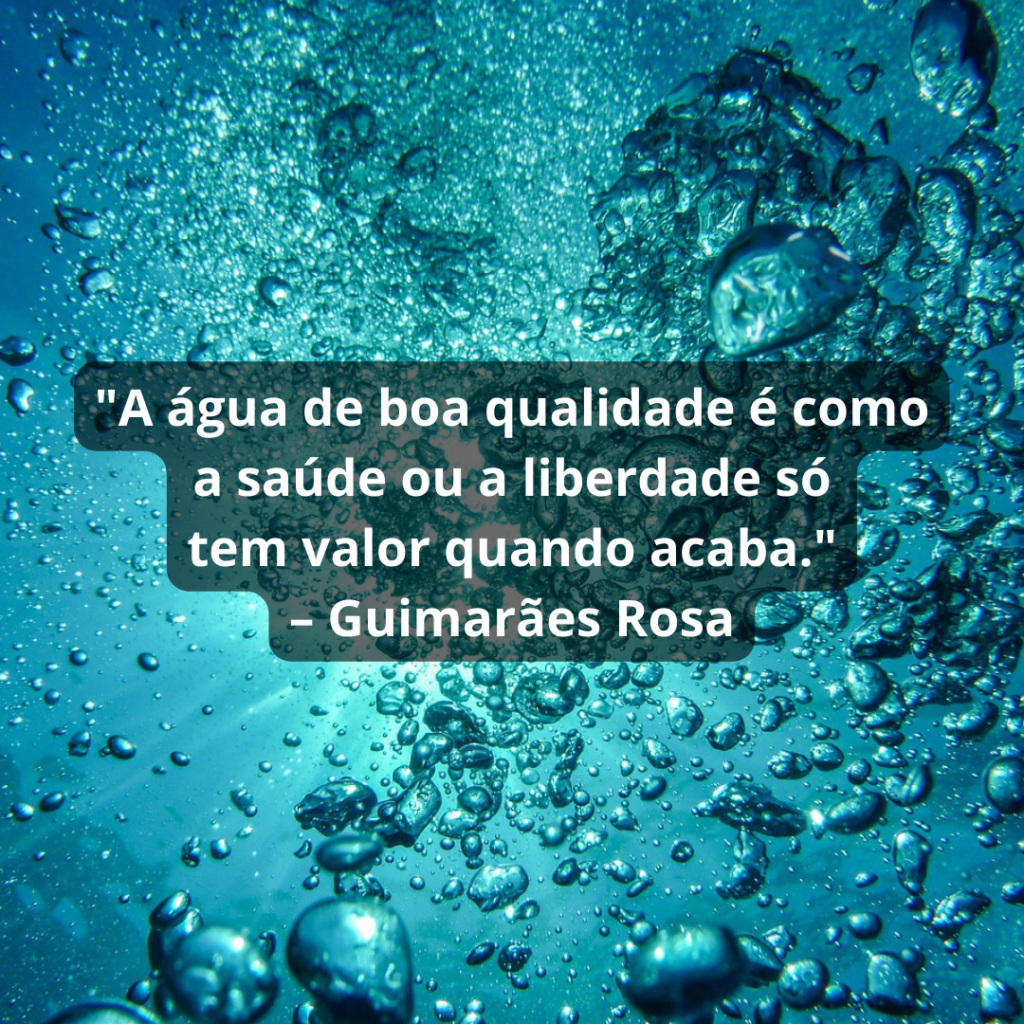 "A água de boa qualidade é como a saúde ou a liberdade só tem valor quando acaba." – Guimarães Rosa